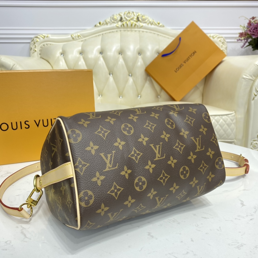 Louis Vuitton SPEEDY BANDOULIERE 25 Monogram Handbag M41113 